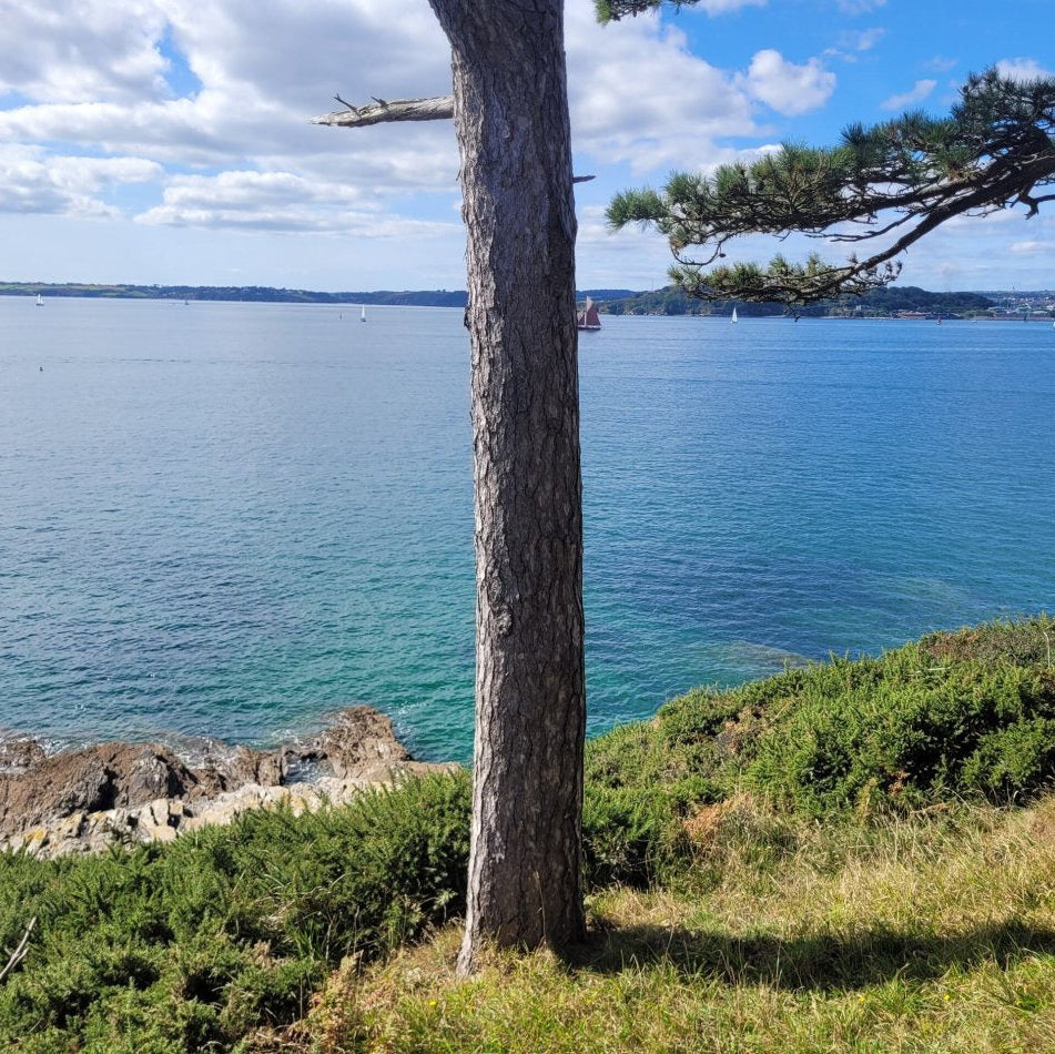 Health and Wellbeing