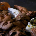 Collection of various masks in different shapes and colors on a dark background